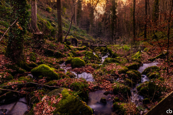 Bach im Schwarzwald | Landschaft | Fujifilm | X-T1 | 18-55mm