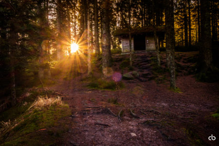 Licht im Wald mit einer Hütte im Wald | Schwarzwald | Landschaft | Fujifilm | X-T1 | 18-55mm